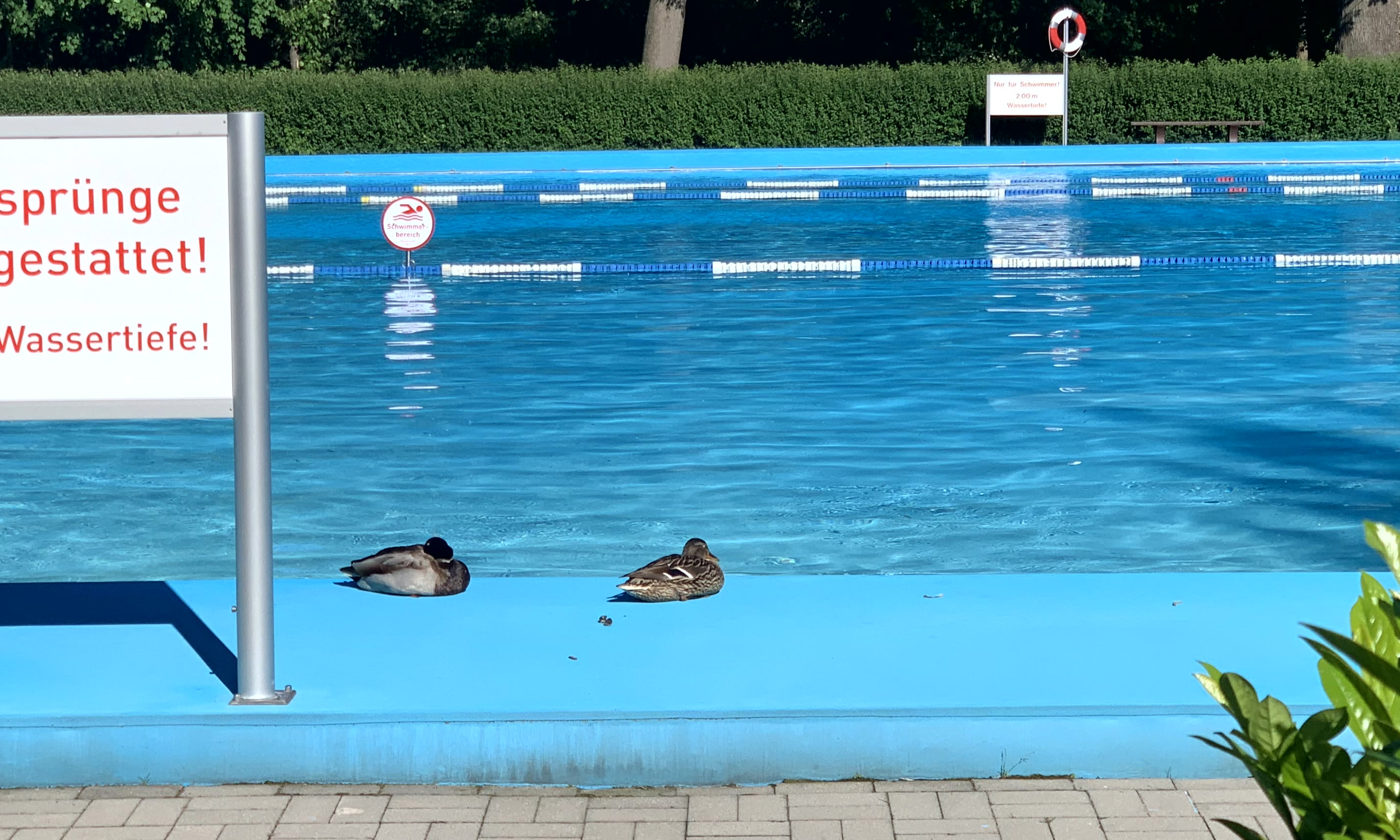 Schwimmbad